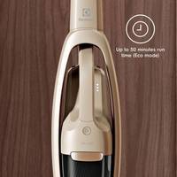 Пилосос ELECTROLUX WQ71-P52SS