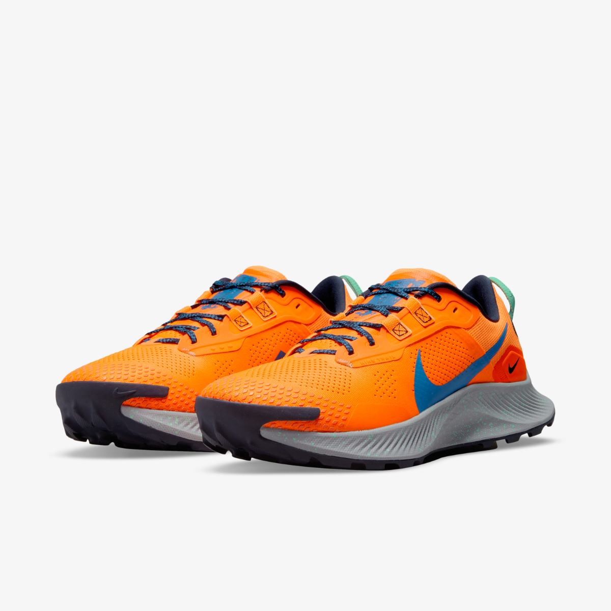 Чоловічі кросівки Nike PEGASUS TRAIL 3 DA8697-800