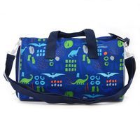 Сумка спортивна YES Dinosaurs