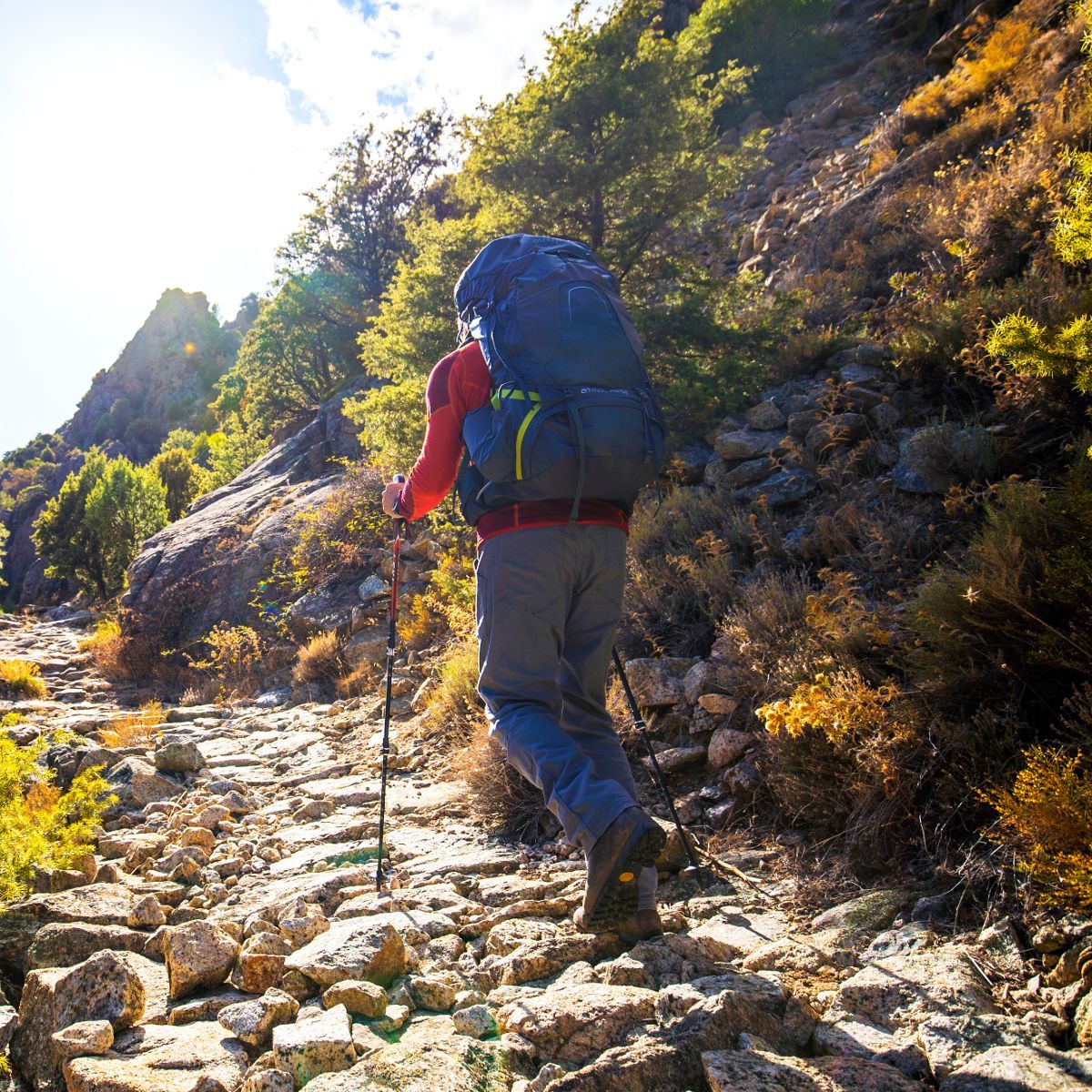 Рюкзак Osprey Atmos AG 65 (2021) Unity Blue синій