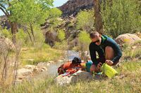 Гермомішок Osprey Ultralight Drysack 20 зелений (009.0027)