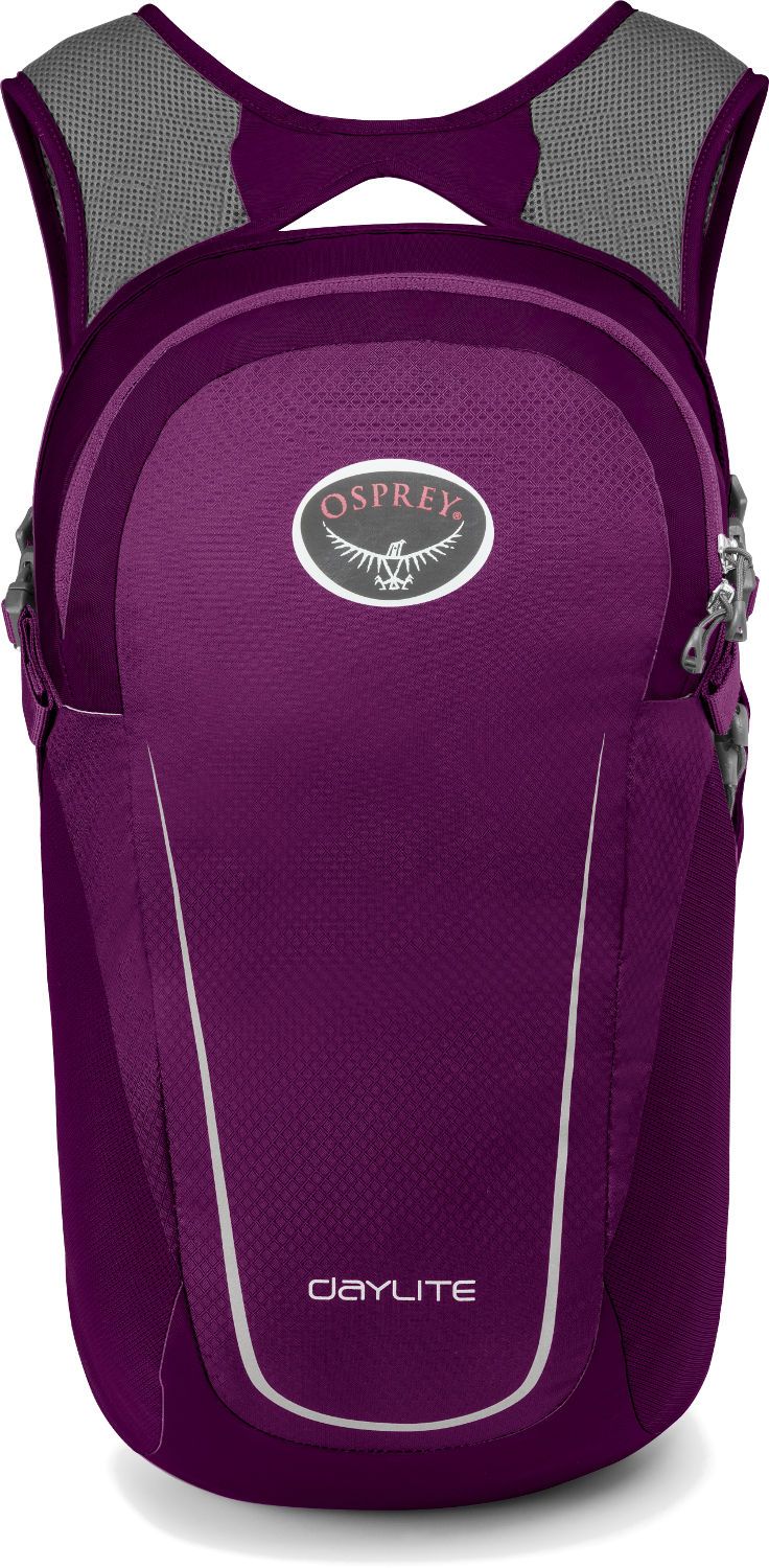 Рюкзак Osprey Daylite (2020) синій (009.1382)