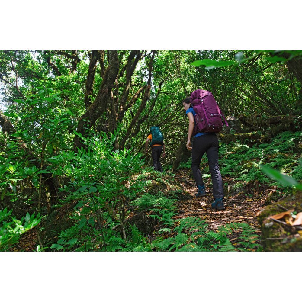 Рюкзак Osprey Renn 65 Challenger Blue - O/S - синій (009.2734)