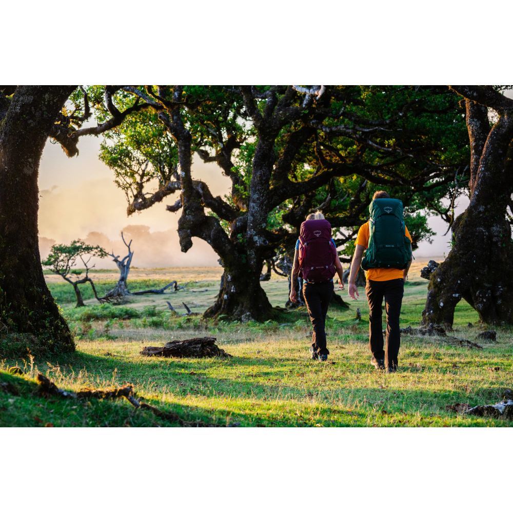 Рюкзак Osprey Renn 65 Challenger Blue - O/S - синій (009.2734)