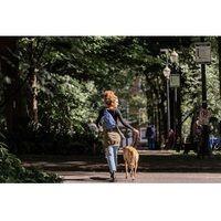 Рюкзак Osprey Daylite Sling Medium Grey/Dark Charcoal (сірий) (009.2772)