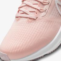 Жіночі кросівки Nike WMNS AIR ZOOM PEGASUS 39 DH4072-601