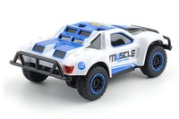 Машинка радіокерована 1:43 HB Toys Muscle повнопривідна (синій) HB-DK4302