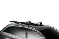 Чохол Thule SkiClick Full Size Bag 7295 (TH 7295)