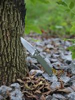 Ніж складаний Firebird FB7601-GR