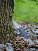 Ніж складаний Firebird FB727S-GY