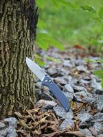 Ніж складаний Firebird FB7601-GY