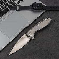 Ніж складний Ruike P135-SF