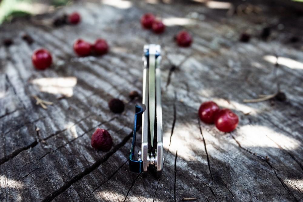 Ніж складний Ruike P801-SF