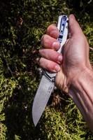 Ніж складний Ruike P801-SF