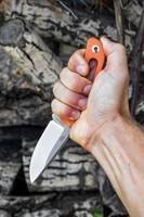 Ніж Ruike Hornet F815-J