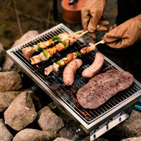 Портативний гриль Naturehike Mini Picnic BBQ Grill NH20CJ006, сталь